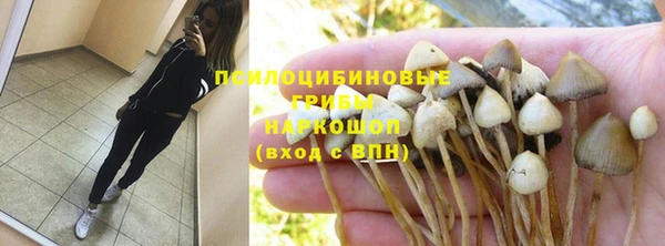 мдпв Верея