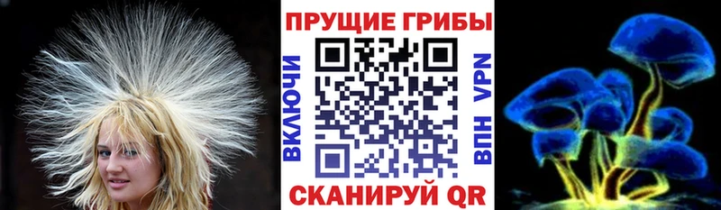 что такое наркотик  Луга  Галлюциногенные грибы ЛСД 